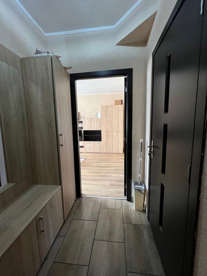 Apartament cu 1 camera de inchiriat Zona Fortuna, Arad - 2