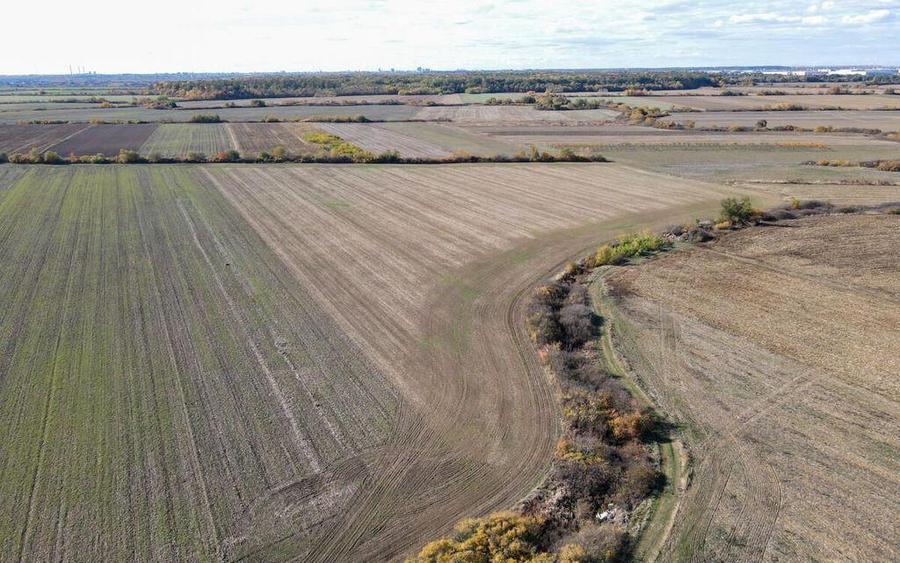 Bucovat - Lot Intravilan 2.27 Ha, PUZ inceput, Rezidentia... - 4