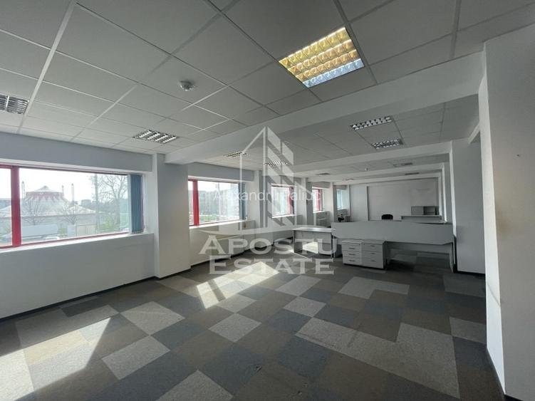 Birou, 440 mp în Lipovei