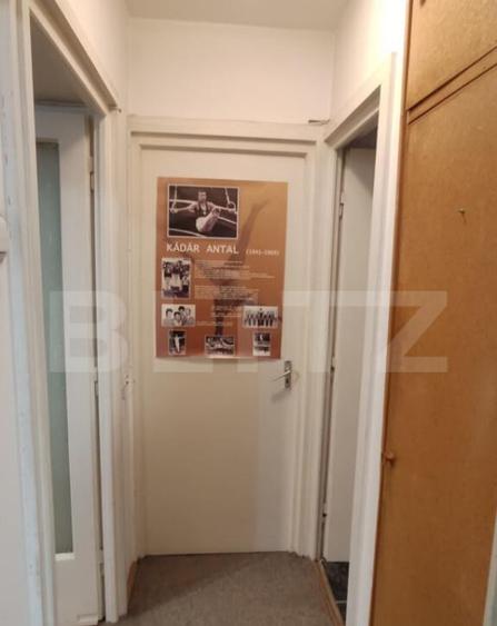 Apartament spa?ios cu 3 camere + garaj , Cornisa - 19