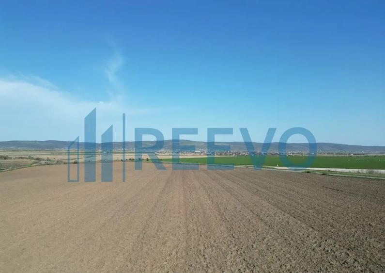 Teren de vanzare, Com. Nicolae Balcescu, Jud. Bacau - 9