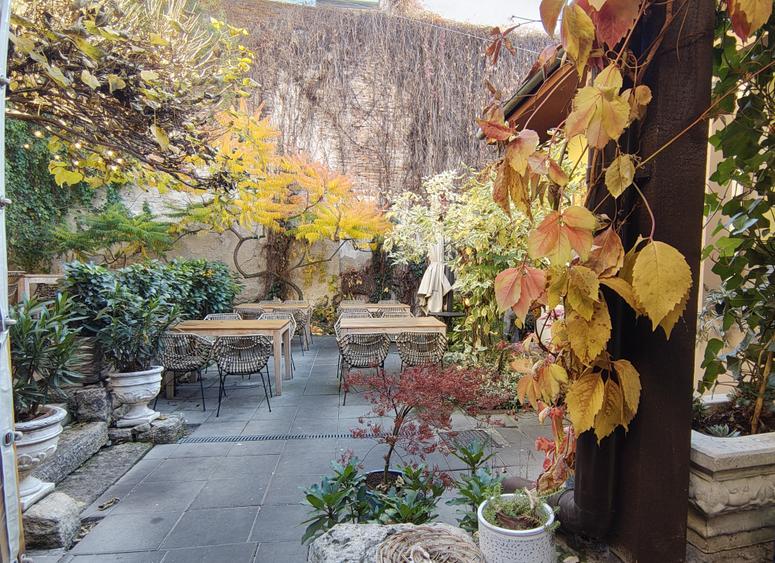 DE VÂNZARE – Spațiu de alimentație publică 53mp+111mp teren - 10