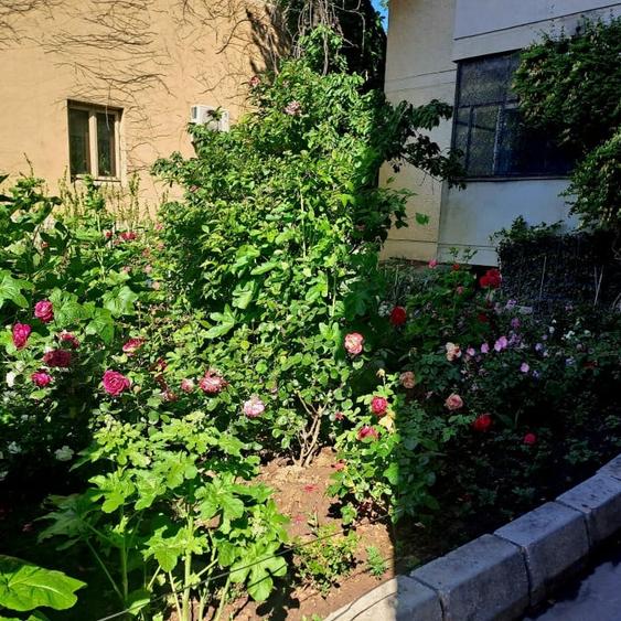 Apartament 2 camere | piata Victoriei | 55mp - 7