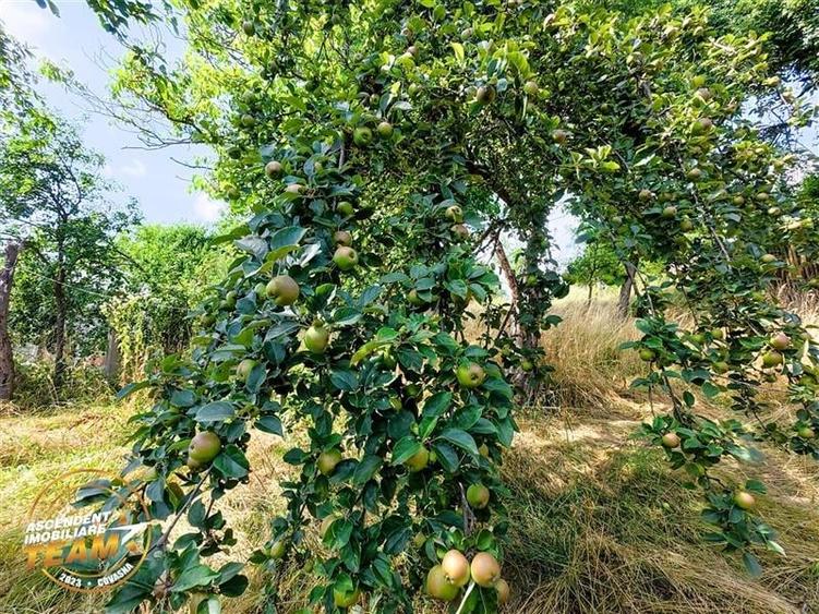 Asezare munteneasca: casa din bustean si sura zidita, Arcus, Covasna - 3