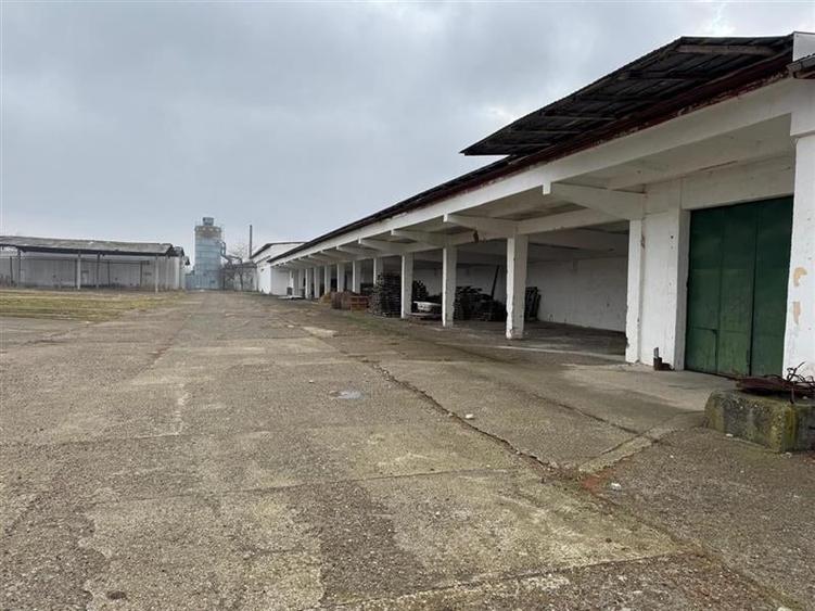 Hala industriala de vanzare in Harlau, 11.500 mp utili, teren 44.268 mp - 3