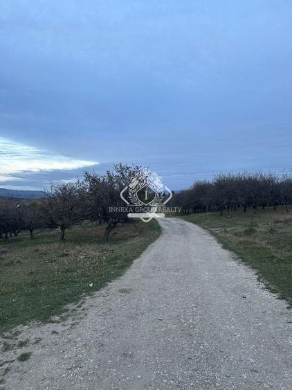 Teren 7199mp Intravilan cu Vedere Panoramica Superbă, Ideal Investitie - 23