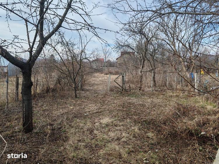 Cornu de Jos - casa Batraneasca + teren 1343mp - 60000 Euro - 4