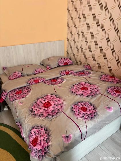 Apartament 1 camera de inchiriat - Tudor - 7