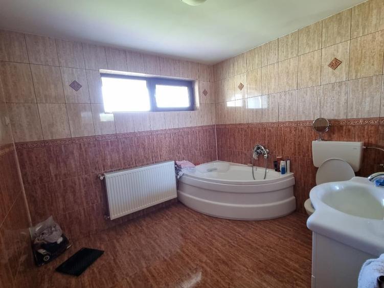 Branesti - Pasarea - 4