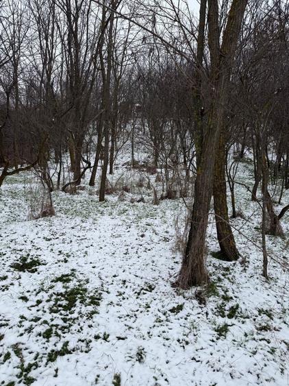 Casa comuna Dragoesti, judetul Valcea - 2