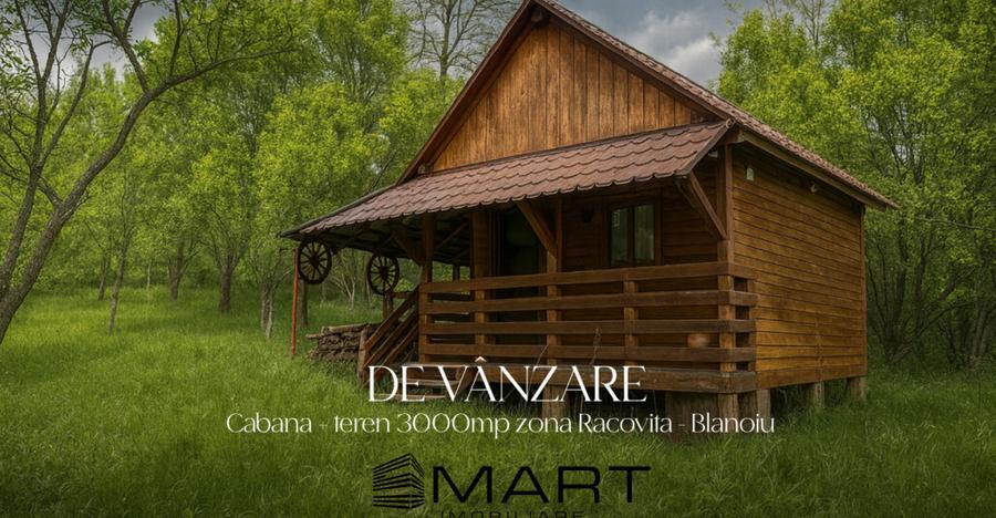 Teren intravilan 3102mp zona Racovita-Blanoiu - 2