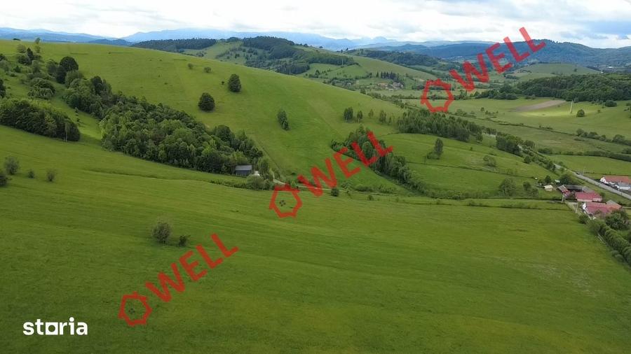 Teren extravilan de vanzare in Barcani, sat Sarama?! - 5