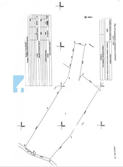 Teren Intravilan, 19400mp, zona locuinte colective/blocuri, zona Terra Floresti - 5