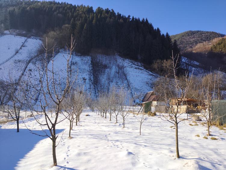 Teren intravilan cu 2 case traditionale in Sibiu Rau Sadului - 2