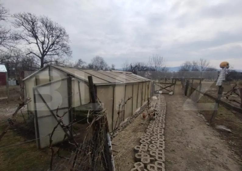 Casa 4 camere,200mp,teren 3000 mp,zona Livezile - 5