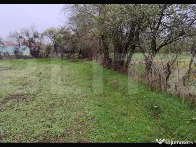 Ocazie investitie! Teren intravilan cu acces stradal, Petre - 8