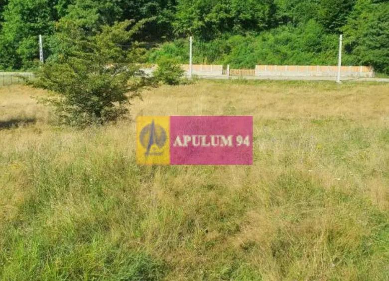 Teren Jude?ul Valcea - Brezoi, Valea lui Stan - 10