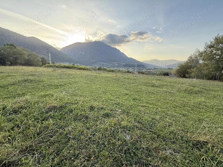 Teren intravilan 500 sau 1000 mp Bran-Tohanita la dum asfaltat - 9