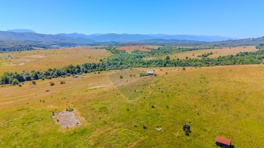 COMISION 0% Teren de 643 mp/ proiectul LaDumbrava - 4