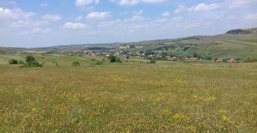 Vand teren intre Popesti si Corusu(jud. Cluj),in apropierea padurii - 11