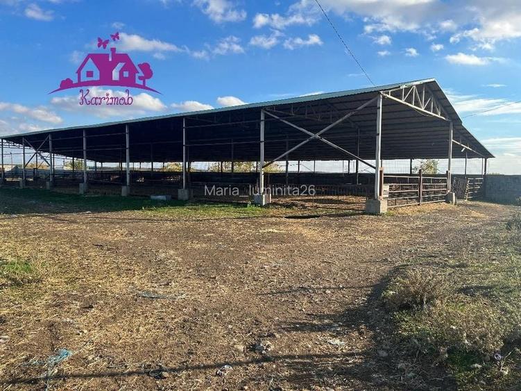 Teren industrial si o constructie pe structura metalica