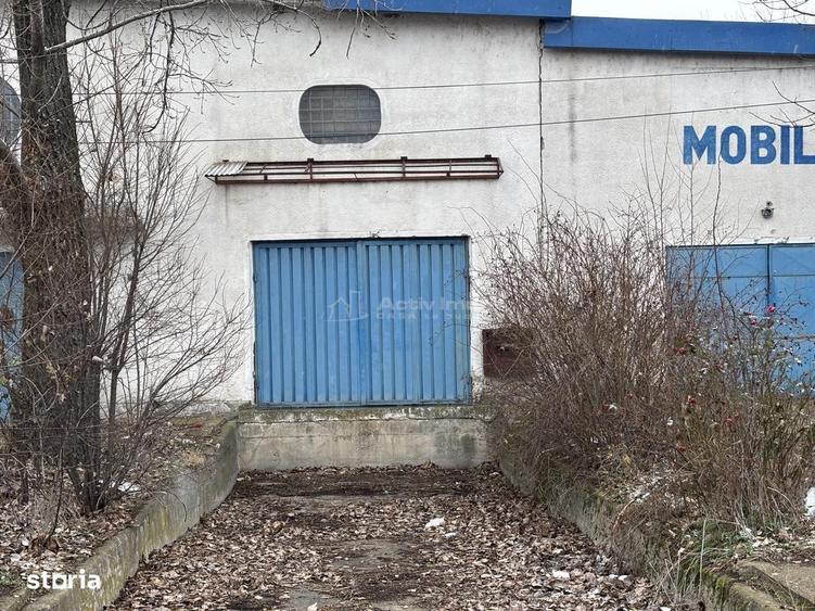 Hala 2532 mp - Calea Borsului - teren 3045 mp - 6