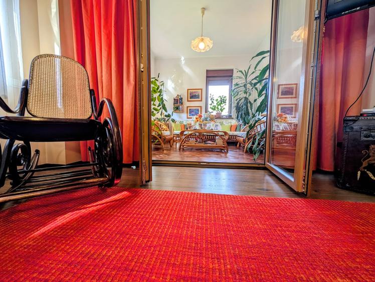 Jiului-Coralilor-Damaroaia,eleganta,robusta,garaj,curte intima,vegetatie matura - 20