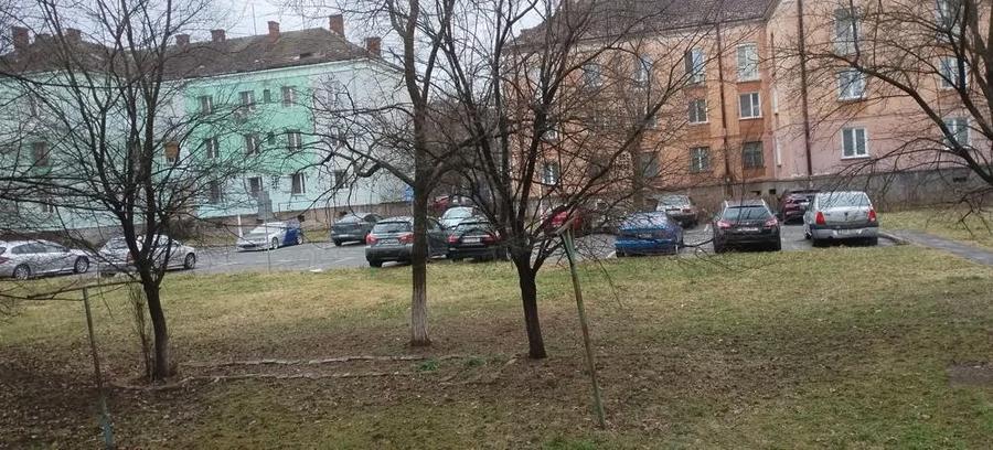 Ap partier zona OM Hunedoara - 2