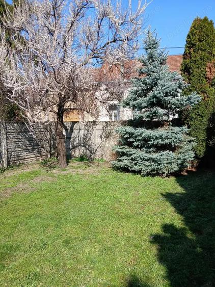 Vand casa ultracentrala - 8