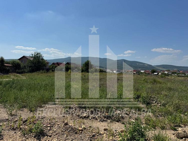 Teren intravilan | 3250 mp | 19.7 ml deschidere | Alba-Micesti - 3