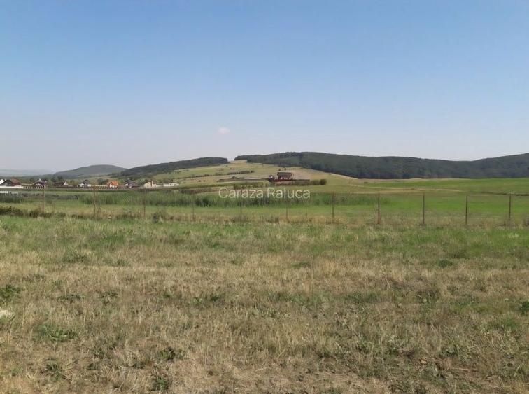 Oportunitate Investitie: 5050mp Intravilan in Almas Neamt - 1