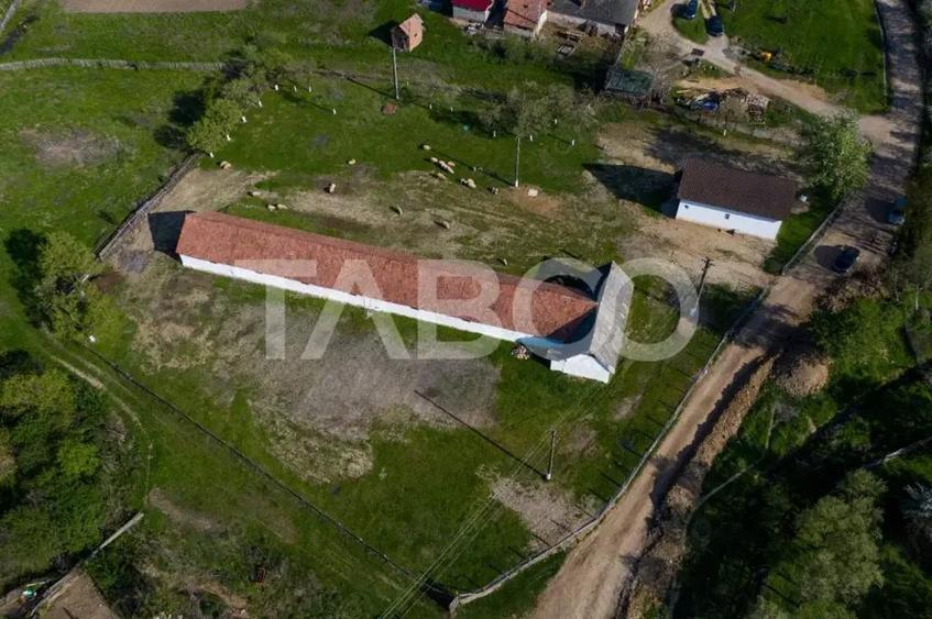 Microferma cu locuinta de vanzare in Pianu de sus - 4