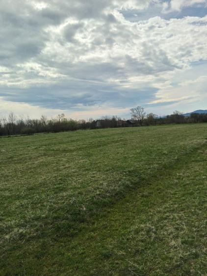 Teren de vinzare vicovu de sus 350 euro - 5