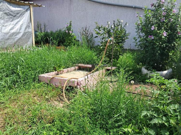 Casa singur in curte in Guserita - 10