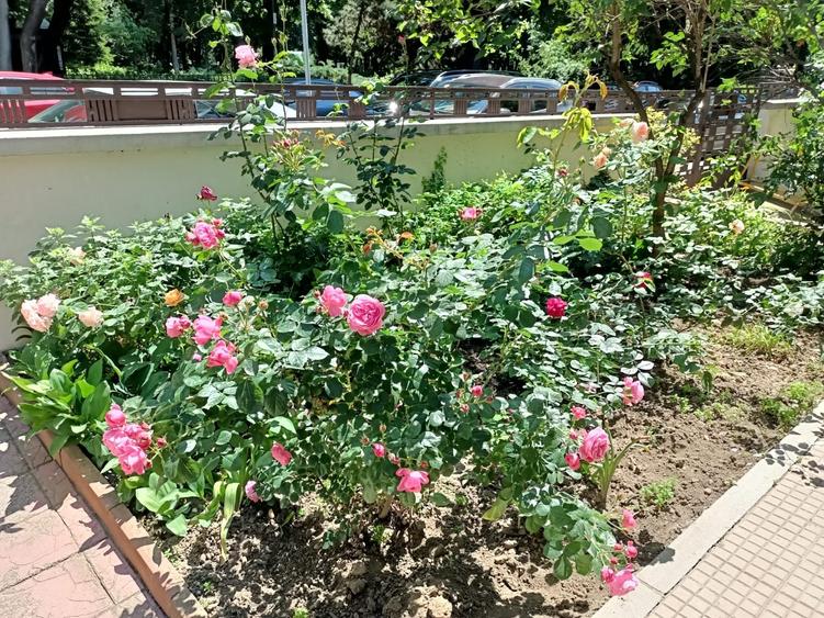 Apartament 5 camere cu vedere catre  Parcul Kiseleff - 13