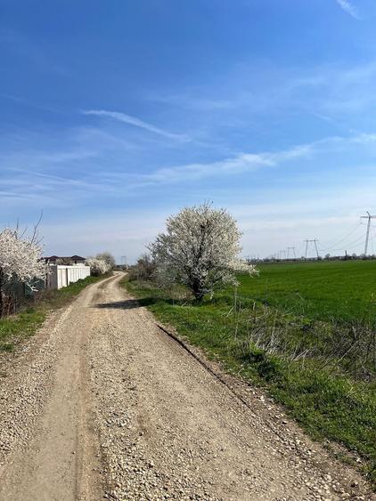 De vanzare lot teren intravilan Dumitrana Magurele - 5