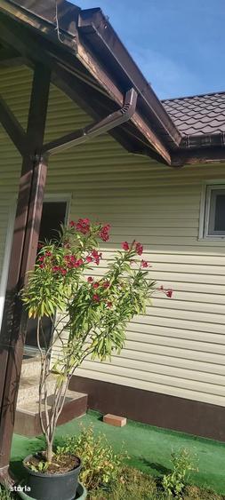 Casa de vacan?a la 30 km de Bucure?ti - 2