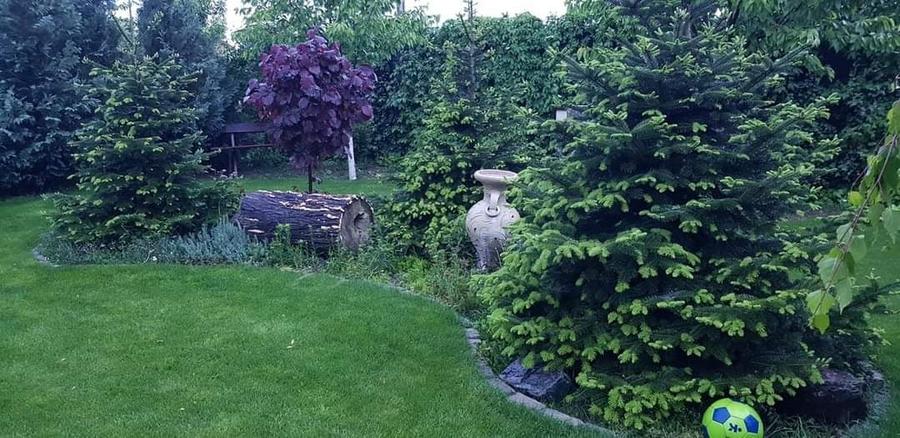 Varasti: Vila individuala cu o curte de 1000 mp ! - 15