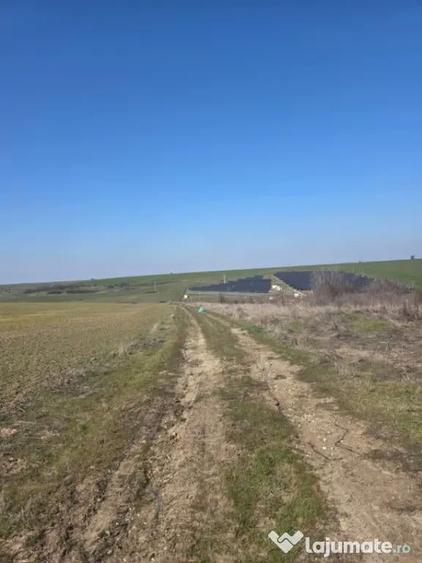 Teren intravilan, 4750 mp, zona Exterior Nord - 3