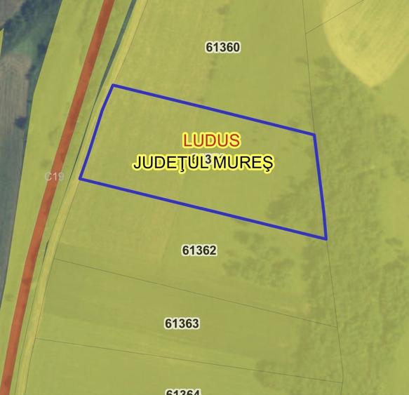 Teren 5.800mp extravilan Ludus/Rosiori - 1