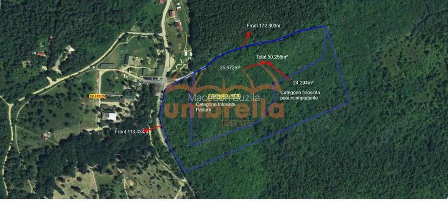 Teren de vanzare Ciurila, extravilan 50.266m2 vis-a-vis Moara de vant Teren de vanzare Ciurila, extravilan 50.266m2 vis-a-vis Moara de vant