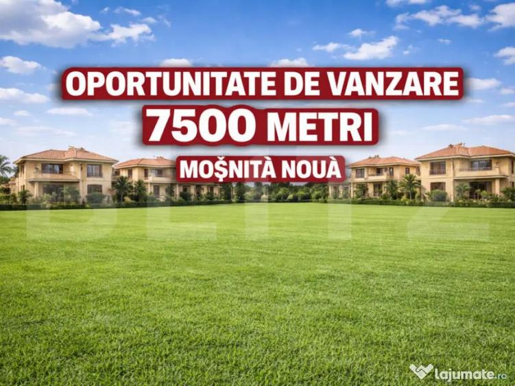 Teren de vanzare 7500 metri, Mosnita Noua - 1