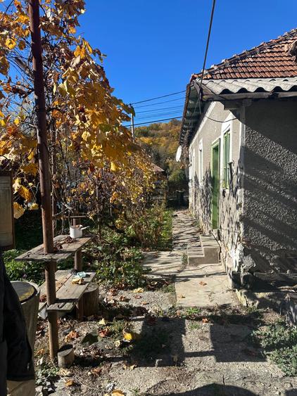 Casa batraneasca + casa noua la rosu, teren 6.900 mp Cotmeana, Arges - 5