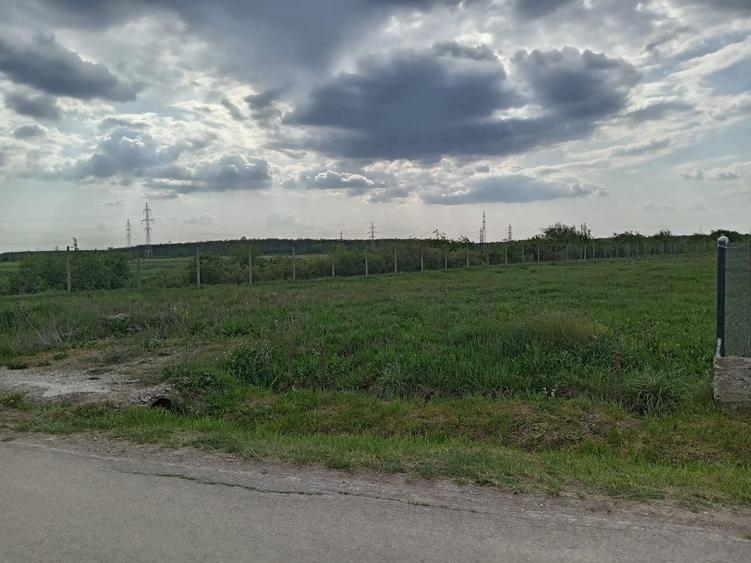 Teren in Priseaca - 5