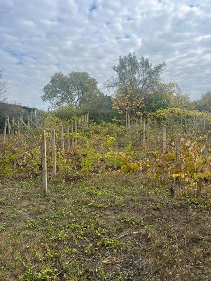 Vila cu teren de vanzare la doar 5 km de Ruse - 1