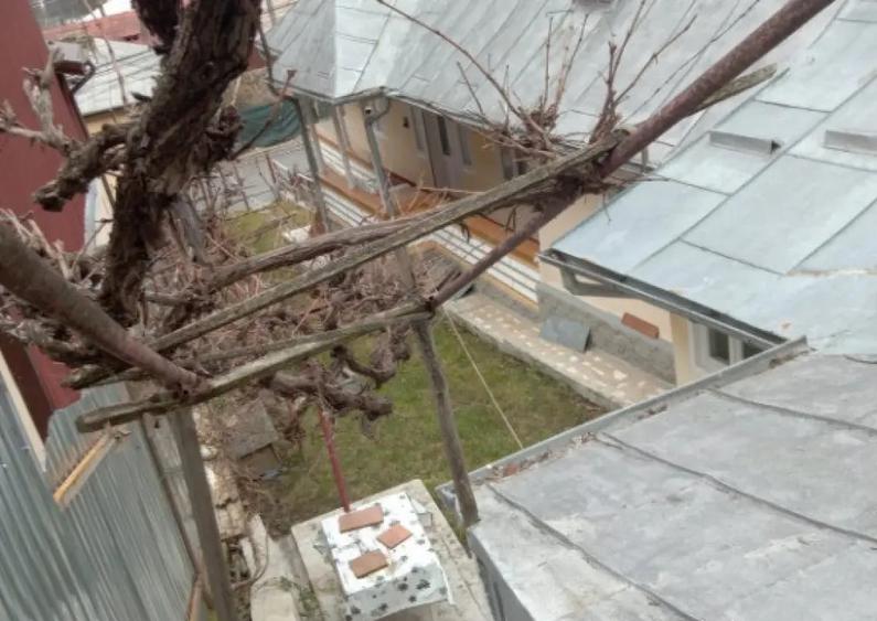 Valea Vie, casa 4 camere de vanzare - 8