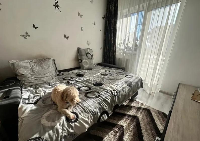 Garsoniera open space - zona Sanpetru - 5