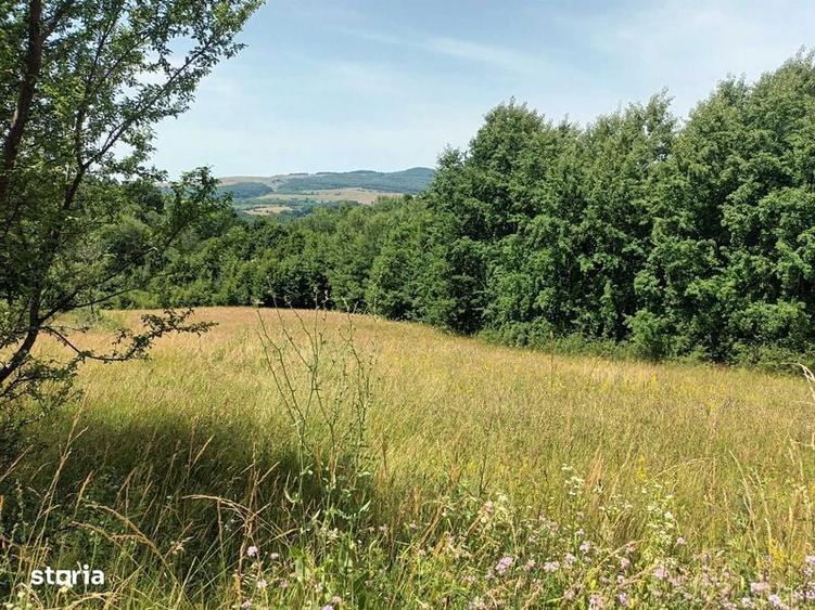 Teren in Capet, Sovata 2500mp - 5