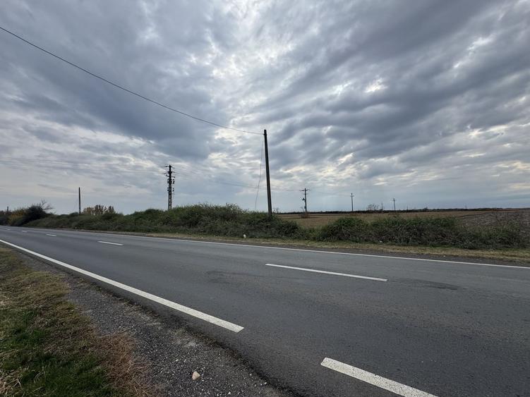 Vand Teren Extravilan Biled(zona industriala) 25.000mp,F.S la DN6 - 1