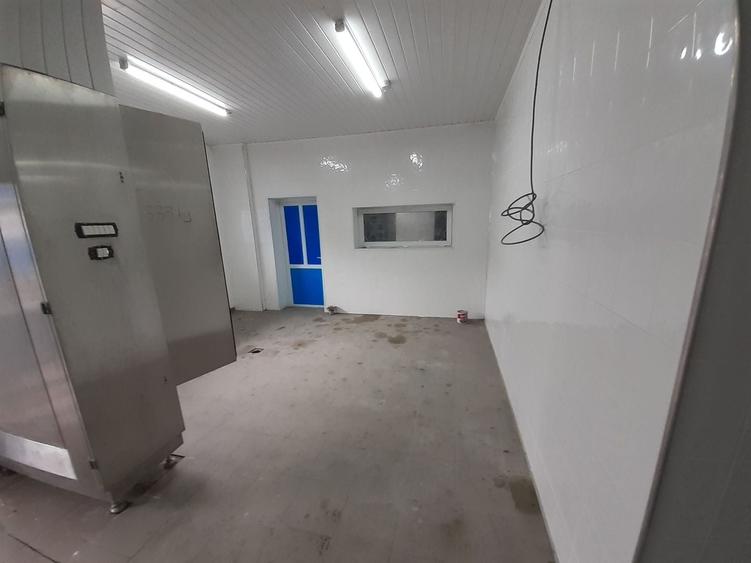 Hala - flux DSV - domeniu alimentar - productie sau catering - 1